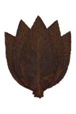 Maduro Whole Leaf