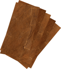 Cut [4"x2"] - Corona